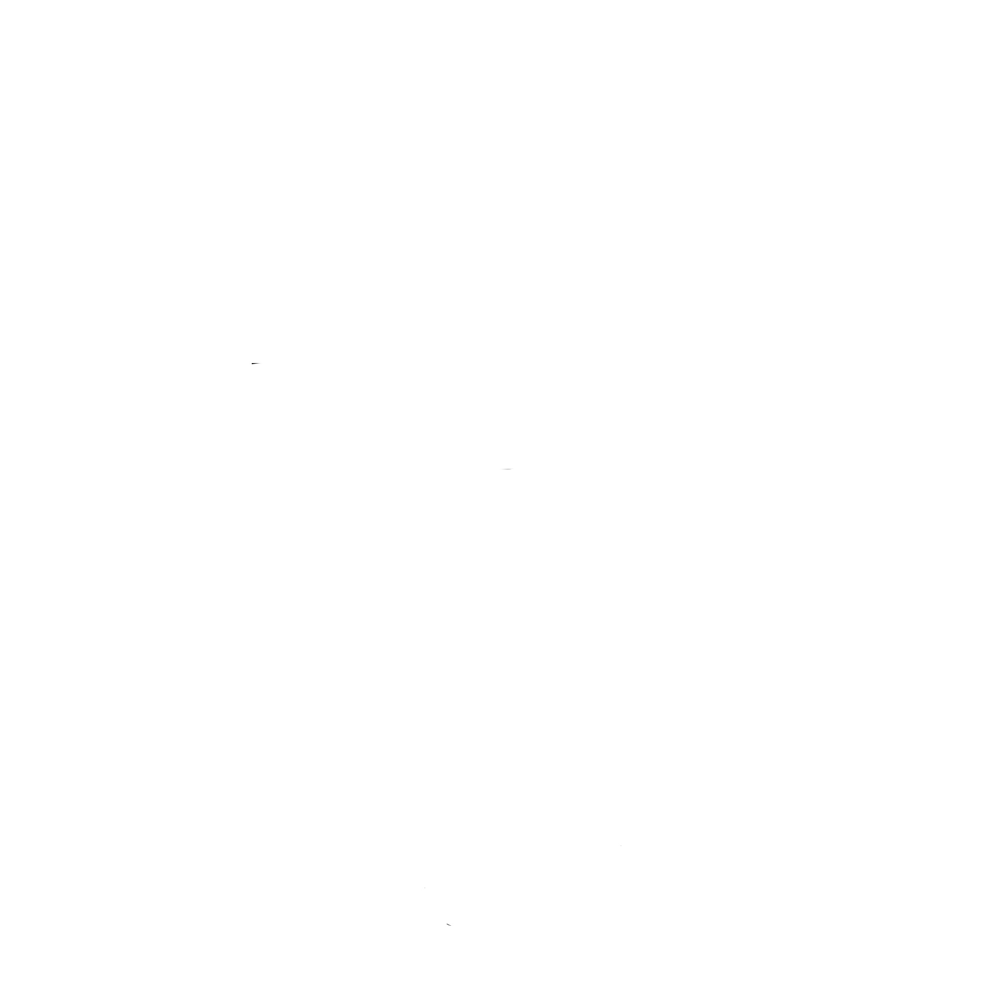 logo drone sul da ilha branco sem fundo